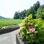 Mateja House - In Zirovnica * Rodine