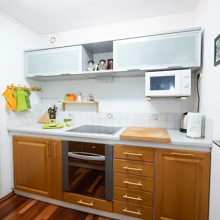 Mateja House - In Zirovnica Apartment