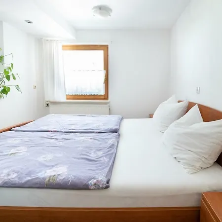 公寓 Mateja House - In Zirovnica *