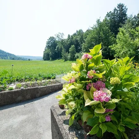 Mateja House - In Zirovnica * Rodine