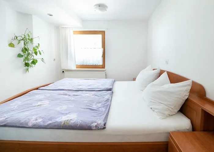 Διαμέρισμα Mateja House - In Zirovnica *