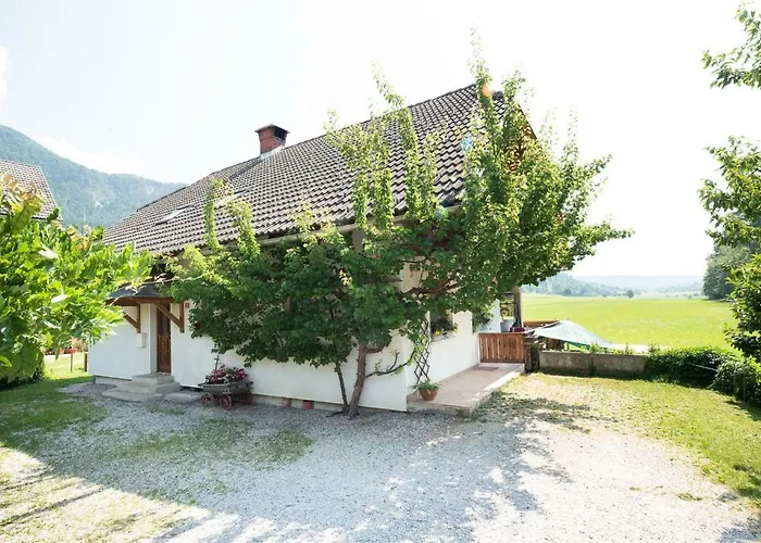 Mateja House - In Zirovnica * Rodine